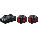 Bosch Starter-Set 18V, 2x ProCORE 18V 12,0Ah + GAL 18V-160 Professional schwarz, 2x Akku + Ladegerät, AMPShare Alliance