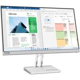 Lenovo L25e-40, LED-Monitor 62.2 cm (24.5 Zoll), grau, FullHD, VA, HDMI, VGA