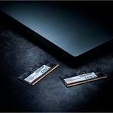 ADATA SO-DIMM 32 GB DDR5-5600  , Arbeitsspeicher schwarz, AD5S560032G-S, Premier Tray