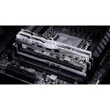G.Skill DIMM 64 GB DDR5-6400 (2x 32 GB) Dual-Kit, Arbeitsspeicher silber, F5-6400J3239G32GX2-TR5S, Trident Z5 Royal, INTEL XMP
