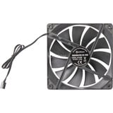 Sharkoon Gehäuselüfter SF1425P 140x140mm schwarz, Bulk, 140 mm