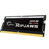 G.Skill SO-DIMM 16 GB DDR5-5600, Arbeitsspeicher schwarz, F5-5600S4040A16GX1-RS, Ripjaws , INTEL XMP