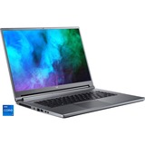 Acer Predator Triton 500 (PT516-51s-7600), Gaming-Notebook grau, Windows 11 Home 64-Bit, 165 Hz Display, 512 GB SSD