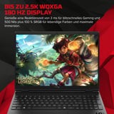 OMEN HyperX OMEN 15-gb0076ng, Gaming-Notebook schwarz, AMD Ryzen 7 8745HX, NVIDIA GeForce RTX 5070, 16 GB DDR5, 512 GB (512 GB SSD), Windows 11 Home