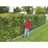 EINHELL Akku-Multifunktions-Werkzeug GE-HC 18Li T Kit, 18 Volt, Hochentaster rot, Li-Ion-Akku 3,0Ah