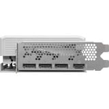 ASRock Intel® Arc B580 Steel Legend 12GB OC, Grafikkarte 