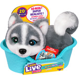 Moose Toys Little Live Pets My Really Real S2 Puppy Mini - Aurora, Kuscheltier 
