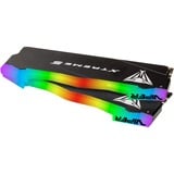 Patriot DIMM 48 GB DDR5-7600 (2x 24 GB) Dual-Kit, Arbeitsspeicher schwarz, PVXR548G76C36K, Viper Xtreme 5 RGB, INTEL XMP