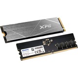 ADATA XPG Gammix S50 Lite 2 TB + Premier DIMM 16 GB DDR5-4800, PC-Aufrüstkit PCIe 4.0 x4, NVMe 1.4, M.2 2280