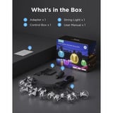 Govee Lichterketten für den Außenbereich mit transparenten Lampen 