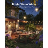 Govee Lichterketten für den Außenbereich mit transparenten Lampen 