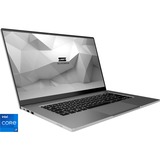 Schenker VISION 15 (10505651), Notebook silber, Windows 10 Home 64-Bit