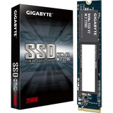GIGABYTE NVMe SSD V2 256GB PCIe 3.0 x4, NVMe 1.4, M.2 2280