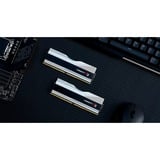 G.Skill DIMM 48 GB DDR5-8000 (2x 24 GB) Dual-Kit, Arbeitsspeicher silber, F5-8000J4048F24GX2-TZ5RS, Trident Z5 RGB, INTEL XMP