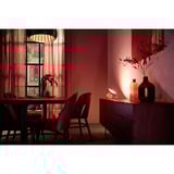 Philips Hue White & Color Ambiance Iris Tischleuchte Special Edition, LED-Leuchte kupfer