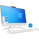 HP All-in-One 24-df1001ng, PC-System weiß, Windows 10 Home 64-Bit