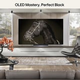 LG OLED48C6ELB.AEUD, OLED-Fernseher 120.7 cm (48 Zoll), schwarz, UltraHD/4K, Triple Tuner, 120Hz Panel