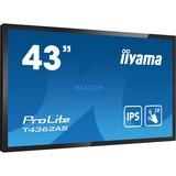 iiyama T4362AS-B1, Public Display schwarz, UltraHD/4K, HDMI, Android, DVI, VGA