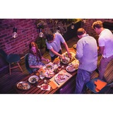Campingaz Attitude 2100 EX, Gasgrill schwarz, mit Culinary Modular System
