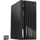 MSI PRO DP20Z 5M-007DE, PC-System schwarz, Windows 10 Pro 64-Bit