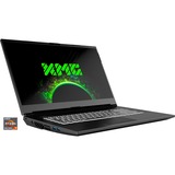 XMG APEX 17 (10505923), Gaming-Notebook grau, Windows 10 Home 64-Bit, 144 Hz Display