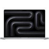 Apple MacBook Pro (16") 2024 CTO, Notebook silber, 24 GB, 2 TB (2 TB SSD), M4 Pro, MacOS, Deutsch