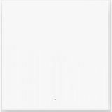 Aqara Smarter Lichtschalter H1 EU (ohne Neutralleiter) grau, Einzelne Wippe