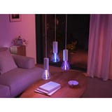 Philips HUE White & Color Ambiance Lightguide Triangle - Smarte Lampe E27, LED-Lampe 
