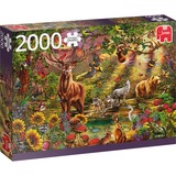 Jumbo Puzzle Zauberwald bei Sonnenuntergang