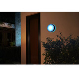 Philips Hue Hue White & Color Ambiance Daylo Wandleuchte, LED-Leuchte schwarz