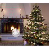 Shelly Weihnachtsbundle 2, Set 