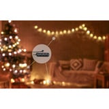 Shelly Weihnachtsbundle 2, Set 