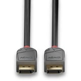Lindy DisplayPort 1.1 Kabel, Anthra Line schwarz, 15m