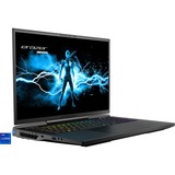 Medion ERAZER Beast X40 (MD62507), Gaming-Notebook schwarz, Windows 11 Home 64-Bit, 240 Hz Display, 2 TB SSD