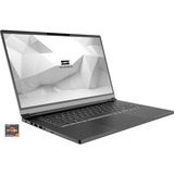Schenker VIA 15 Pro (10505928), Notebook grau, Windows 10 Home 64-Bit