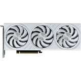 Palit GeForce RTX 5070 OC WHITE, Grafikkarte DLSS 4, 3x DisplayPort, 1x HDMI 2.1