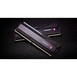 G.Skill DIMM 48 GB DDR5-8000 (2x 24 GB) Dual-Kit, Arbeitsspeicher schwarz, F5-8000J4048F24GX2-TZ5RK, Trident Z5 RGB, INTEL XMP