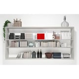 fischer Hohlraumdübel DuoHM 5x55 S PZ  4 Stück, mit Panhead-Schraube