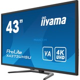 iiyama X4373UHSU-B1, LED-Monitor 108 cm (43 Zoll), schwarz, UltraHD/4K, VA, HDMI