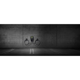 PRACHT Wallbox ALPHA XT+, 2 Ladepunkte 2,3 - 22 kW schwarz, 2x 5,5 Meter Kabel, RFID