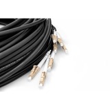Digitus Glasfaser Universal Breakout Kabel, Duplex, LC/UPC Stecker, Multimode OM4 schwarz, 50 Meter, vorkonfektioniert