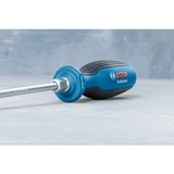 Bosch Professional Schraubendreher-Set PH/SL Professional, 6-teilig blau/schwarz, 5x mit Schlagkappe