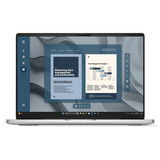 Dell Pro 16 (HT3DJ), Notebook platin, AMD Ryzen 5 220, AMD Radeon 740M, 16 GB DDR4, 512 GB (512 GB SSD), Windows 11 Pro