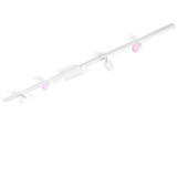 Perifo Basis-Set für die Decke (gerade, 4 Spots), Leuchte