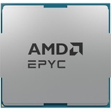 AMD EPYC™ 4464P, Prozessor Tray-Version