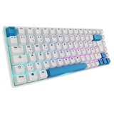 Sharkoon SKILLER SGK50 S3 PBT, Gaming-Tastatur weiß/hellblau, DE-Layout, Gateron G Pro 3.0 Yellow