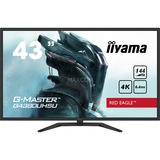 iiyama G-Master G4380UHSU-B1, Gaming-Monitor 108 cm(43 Zoll), schwarz, UltraHD/4K, AMD Free-Sync, VA, 144Hz Panel