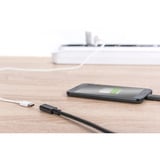 Digitus USB 3.2 Gen 2 Verlängerungskabel, USB-C Stecker > USB-C Buchse schwarz, 0,7 Meter, PD 60 Watt