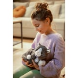 ZAPF Creation BABY born® Mein Kätzchen Cookie mit Box, Puppenzubehör 43 cm