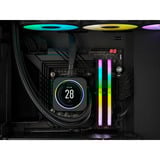 Corsair DIMM 32 GB DDR5-6000 (2x 16 GB) Dual-Kit, Arbeitsspeicher schwarz, CMH32GX5M2B6000C38, Vengeance RGB, INTEL XMP